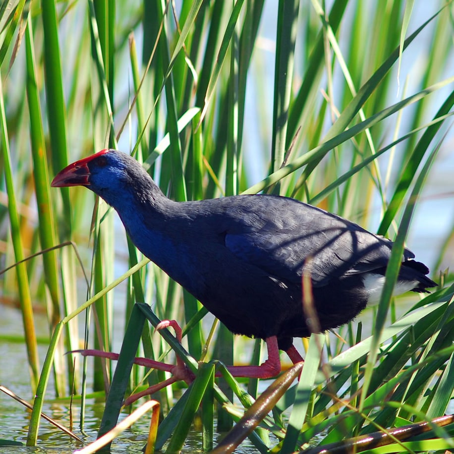 vilamoura environmental park